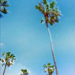 Meet your Posher, Dylan